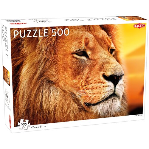 African Lion